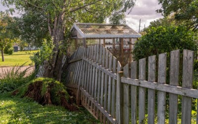 Landscaping Your Backyard for Hurricane Season